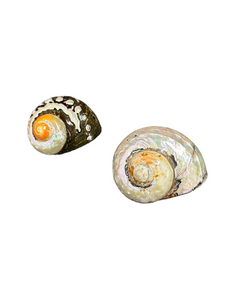 Búzios
