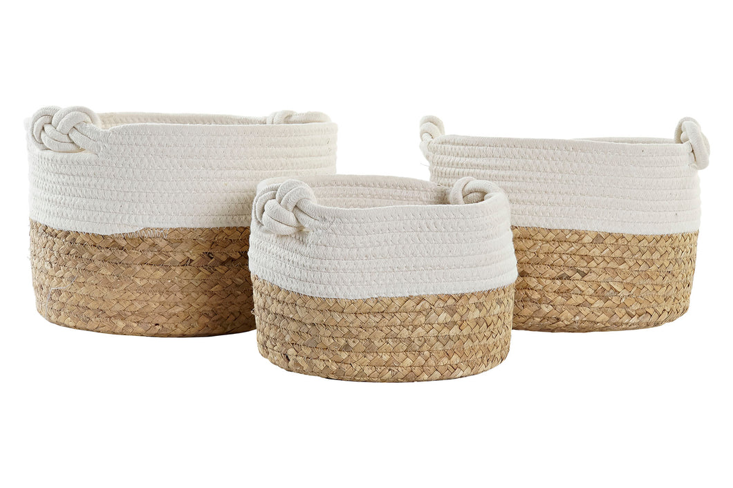 Cesta