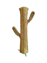 Cacto Esparto