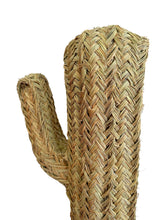 Cacto Esparto