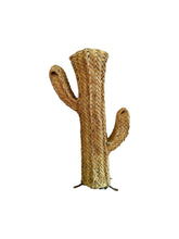 Cacto Esparto
