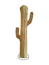Cacto Esparto
