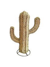 Cacto Esparto
