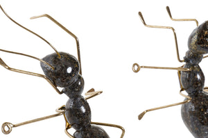 Formiga