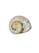 Búzios