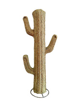 Cacto Esparto