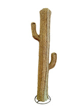 Cacto Esparto