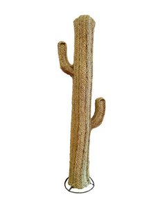 Cacto Esparto