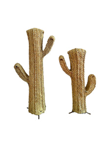 Cacto Esparto
