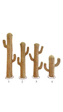 Cacto Esparto