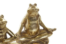Sapos Zen